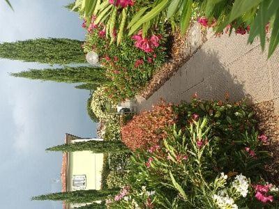 Villa Manuela Altopascio Exterior foto